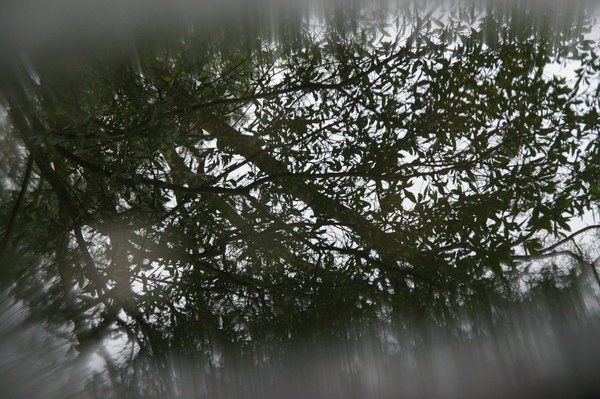 藤坪古道 135.jpg