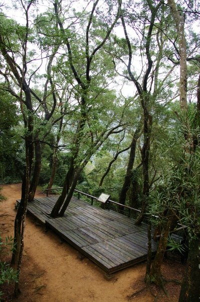 藤坪古道 131.jpg
