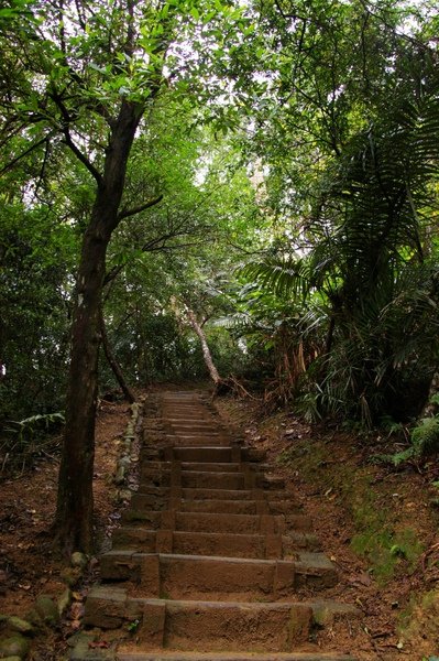 藤坪古道 116.jpg