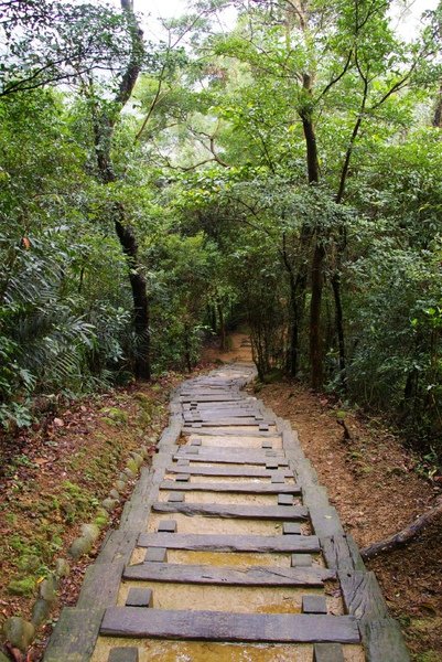 藤坪古道 115.jpg