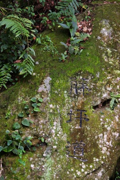 藤坪古道 050.jpg