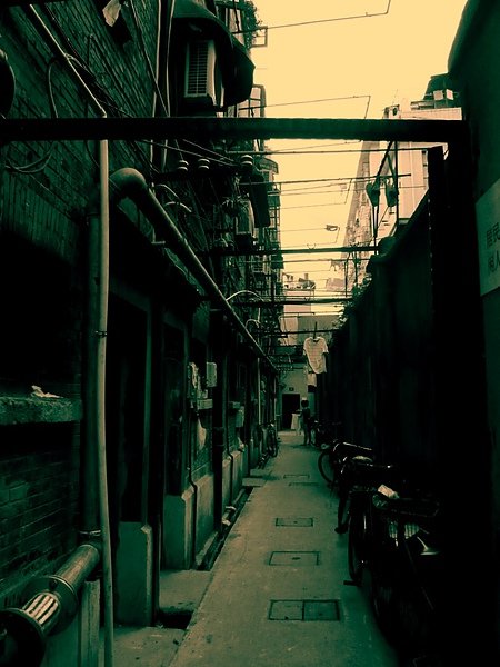 上海L 295a.jpg