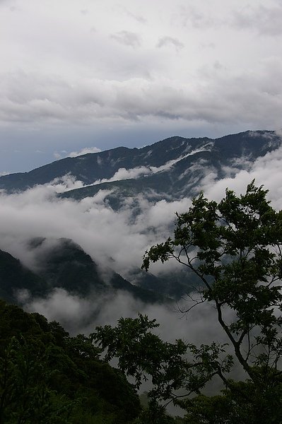 司馬庫斯 144.JPG