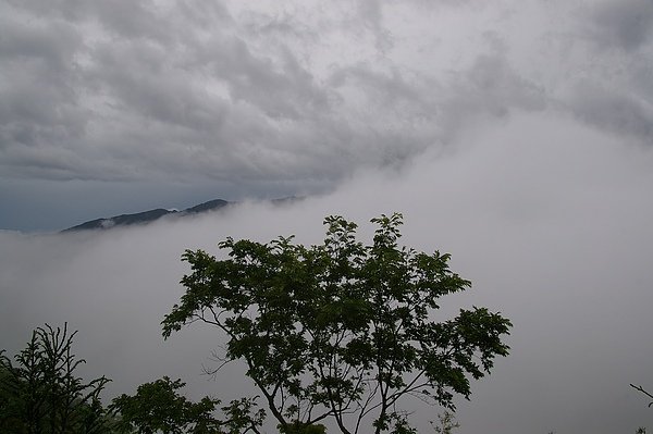 司馬庫斯 139.JPG