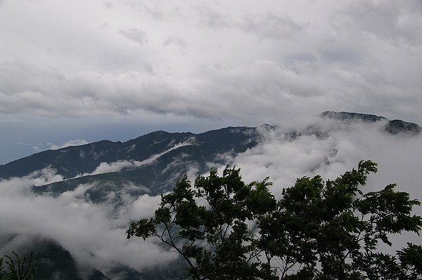 司馬庫斯 143.JPG