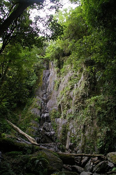 司馬庫斯 130.JPG