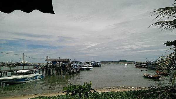 IMAG4222.jpg