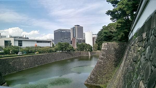 IMAG4719.jpg