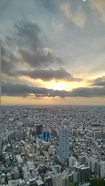 IMAG4749.jpg