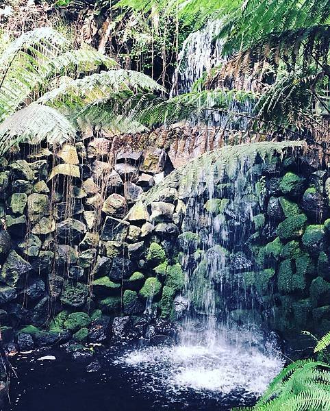 【翻玩墨爾本】墨爾本皇家植物園遊記