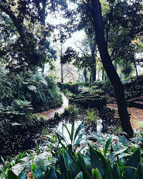 【翻玩墨爾本】墨爾本皇家植物園遊記