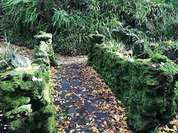 【翻玩墨爾本】墨爾本皇家植物園遊記