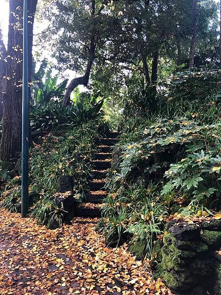 【翻玩墨爾本】墨爾本皇家植物園遊記