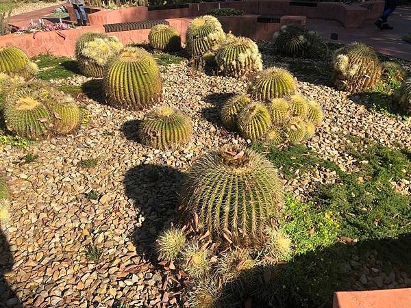 【翻玩墨爾本】墨爾本皇家植物園遊記