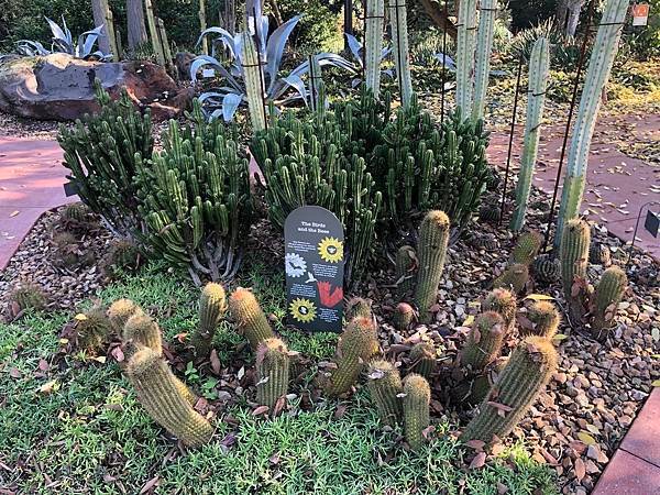 【翻玩墨爾本】墨爾本皇家植物園遊記