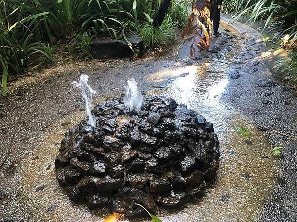 【翻玩墨爾本】墨爾本皇家植物園遊記