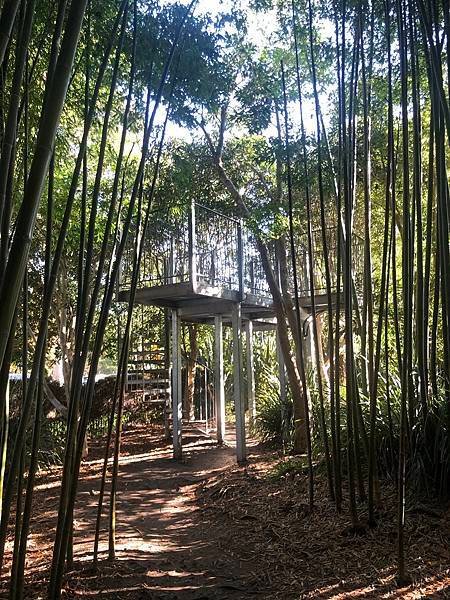 【翻玩墨爾本】墨爾本皇家植物園遊記