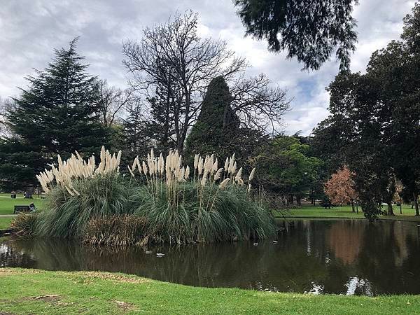 【翻玩墨爾本】墨爾本Carlton Garden 卡爾頓花園