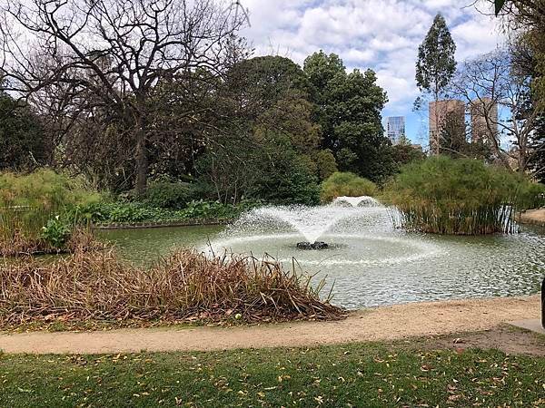 【翻玩墨爾本】墨爾本Carlton Garden 卡爾頓花園