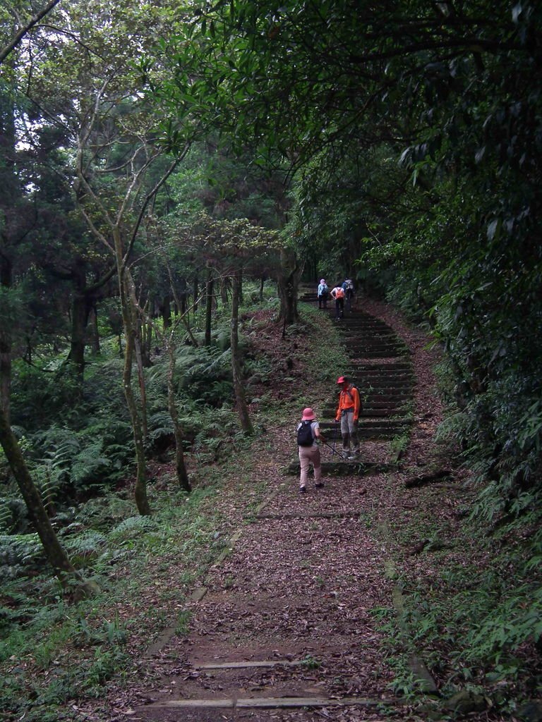 20130525大桶035-1.jpg