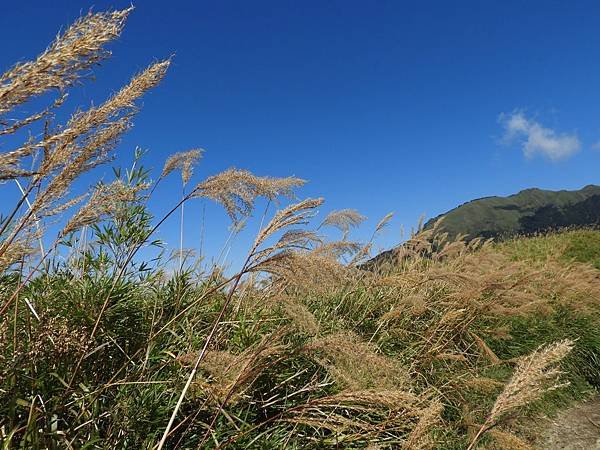 20181023能高198-1