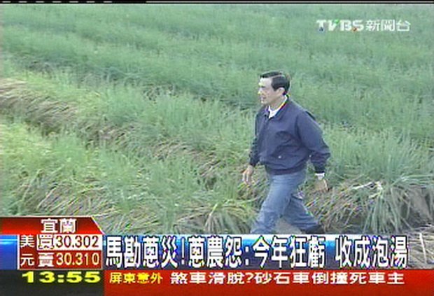 馬勘蔥災！蔥農怨：今年狂虧　收成泡湯-2011.11.22-02.jpg