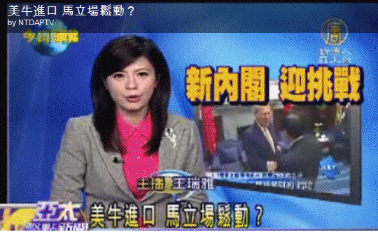 馬英九見楊甦隸談開放美瘦肉精牛-01