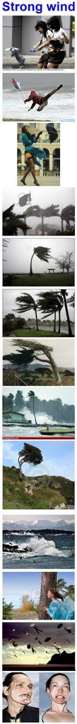 strong wind-00