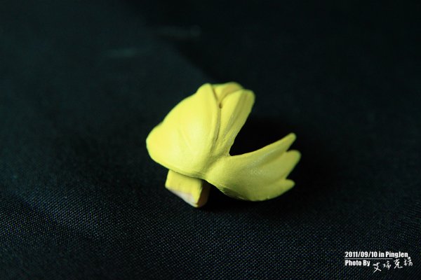 0015_IMG_0224.jpg