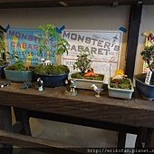DSC08191