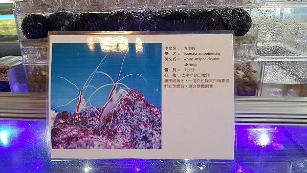 20151107_082209.jpg