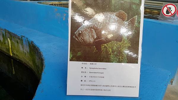 20151107_083132.jpg
