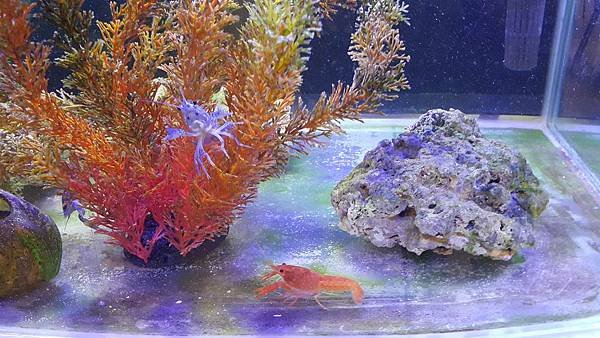 20151107_082628.jpg