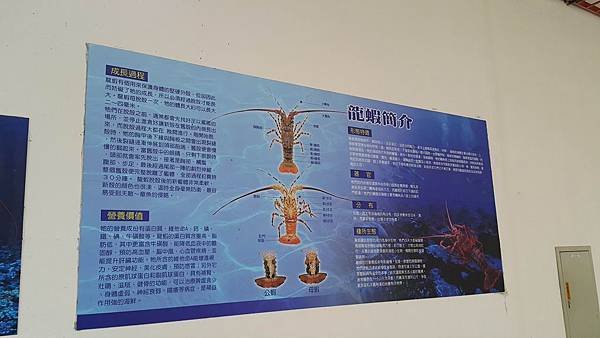 20151107_083925.jpg