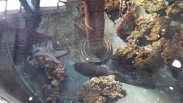 20151107_083440.jpg