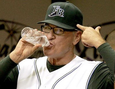 joe maddon