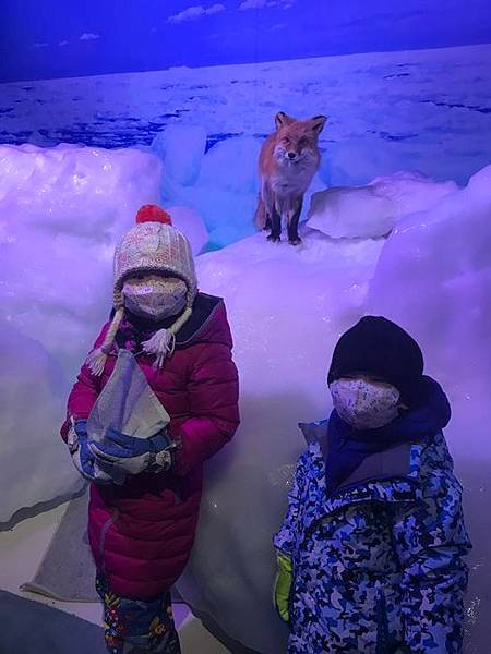 20180201_IMG_0735.JPG
