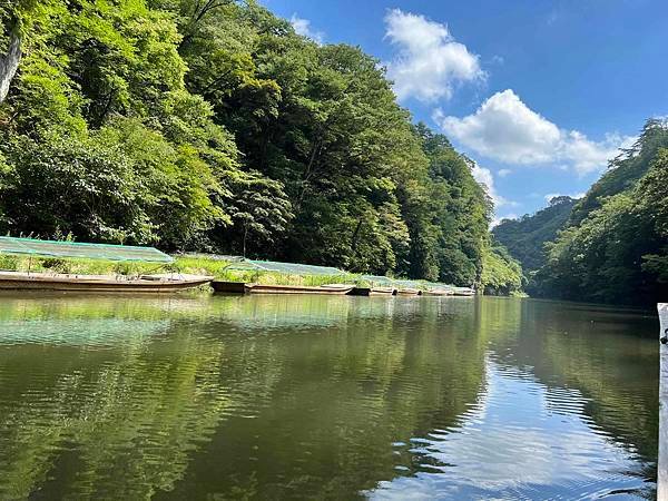 [仙台] 宮城藏王狐狸村、猊鼻溪、中尊寺、松島、Beny L