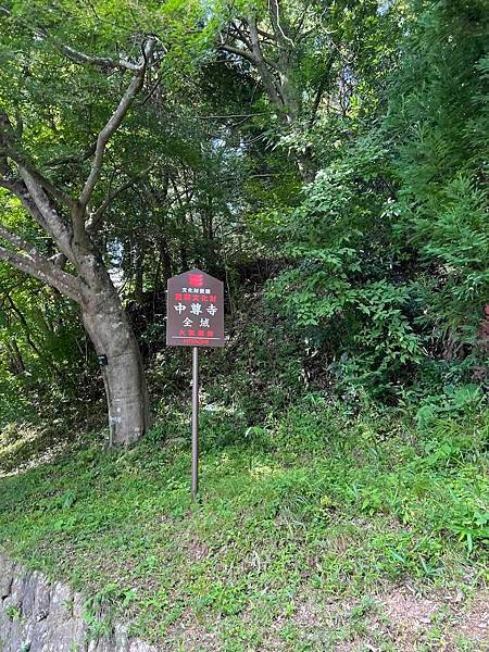 [仙台] 宮城藏王狐狸村、猊鼻溪、中尊寺、松島、Beny L