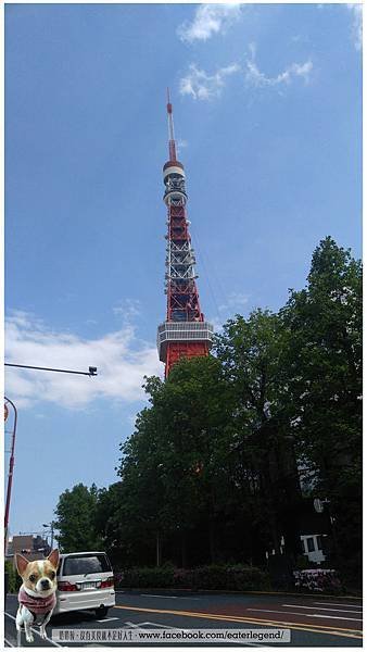 75.jpg