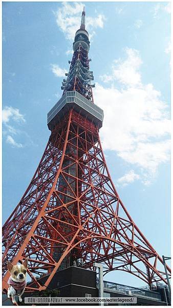 77.jpg