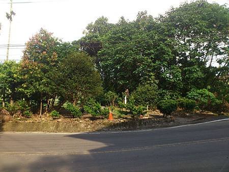 施作前的一新入口公園