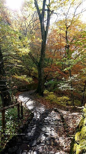 DSC_1750s.jpg