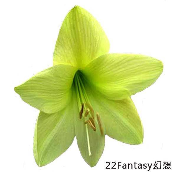 22Fantasy幻想 .jpg