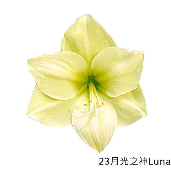 23月光之神Luna.jpg