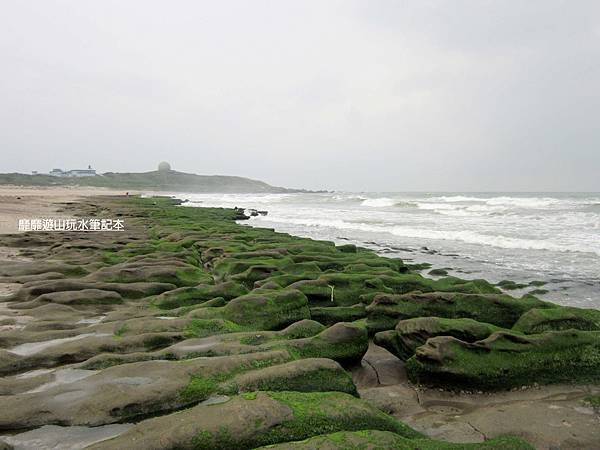 IMG_3897.jpg