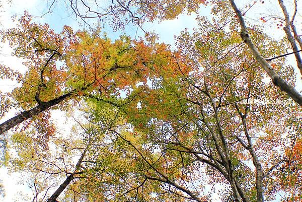 _MG_3544.jpg
