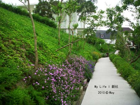 DSCN3026.jpg