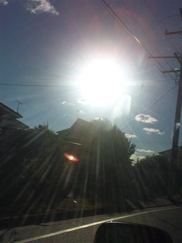 DSC01517.JPG