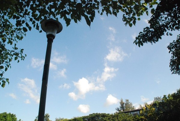 新竹市公園-坐著休息,突然發現天空真美.jpg